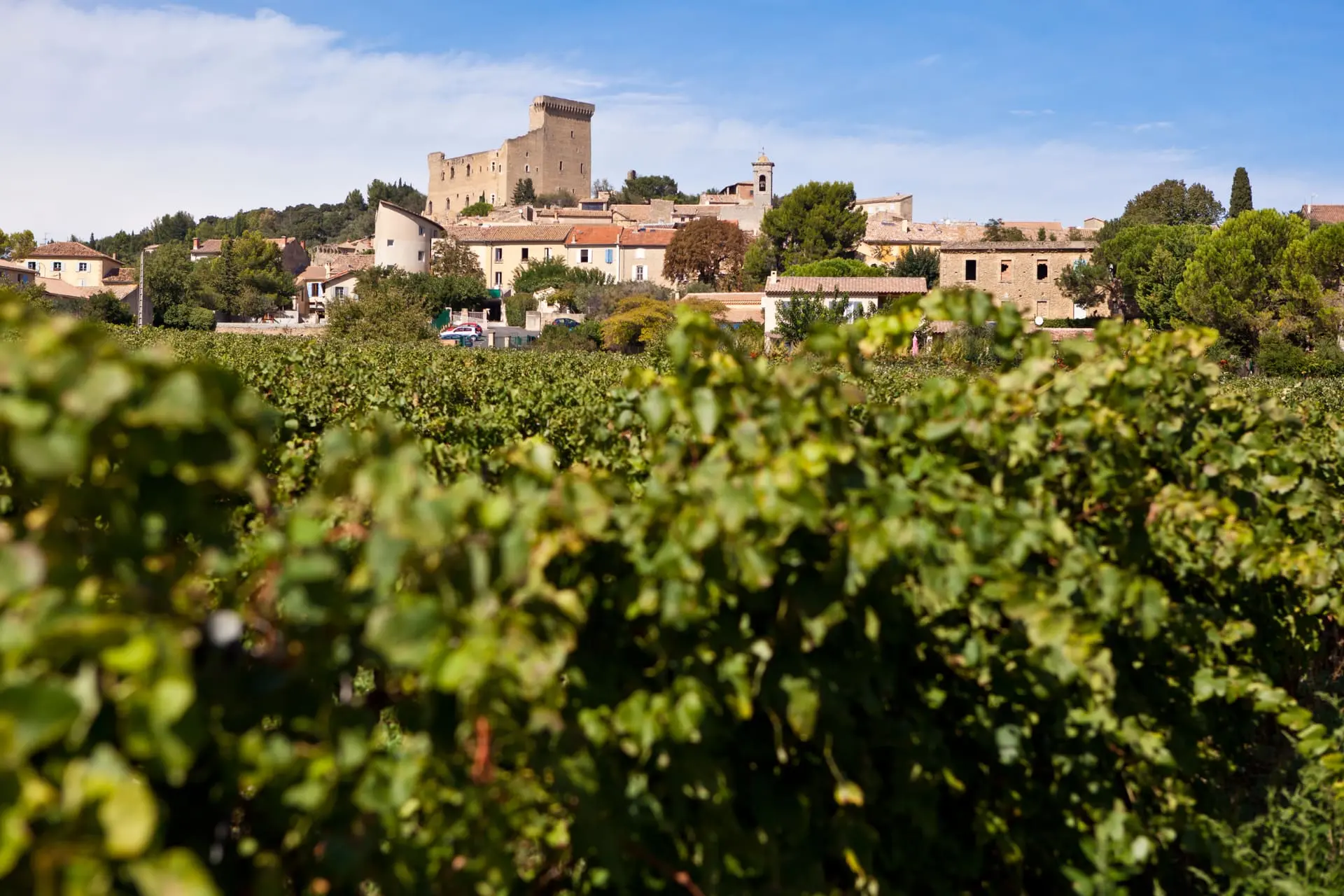 Chateauneuf-du-Pape Chateauneuf du Pape